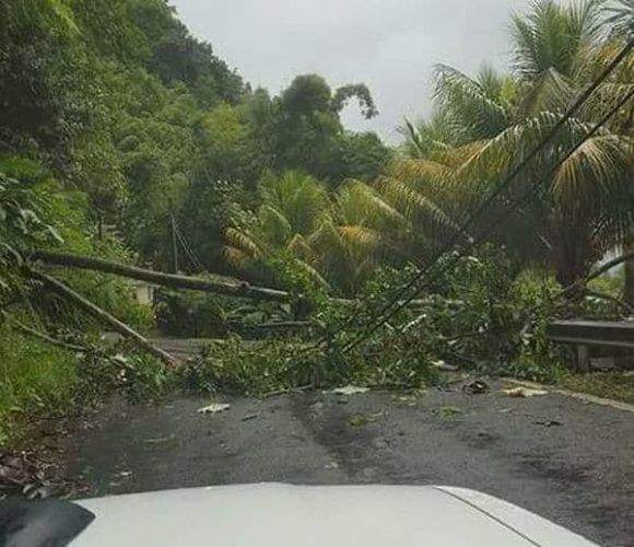 Dominica devastada tras el paso del huracán María, dice Primer Ministro