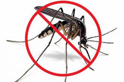 Sin mosquitos, no hay zika